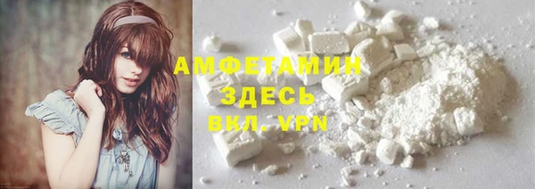 шишки Белоозёрский