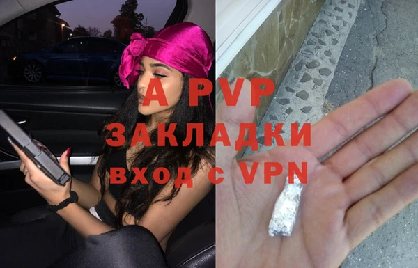 шишки Белоозёрский