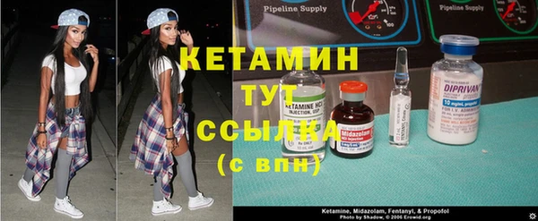 шишки Белоозёрский