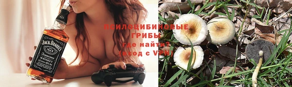 шишки Белоозёрский