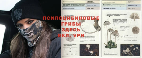 спайс Белокуриха